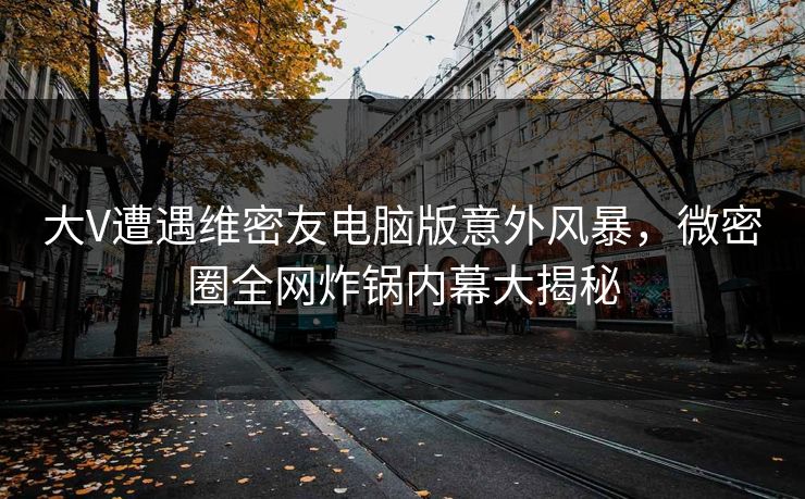 大V遭遇维密友电脑版意外风暴，微密圈全网炸锅内幕大揭秘