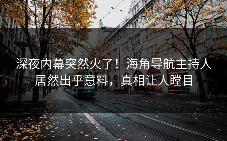 深夜内幕突然火了！海角导航主持人居然出乎意料，真相让人瞠目