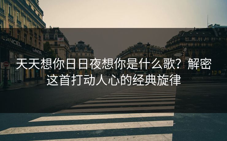 天天想你日日夜想你是什么歌？解密这首打动人心的经典旋律