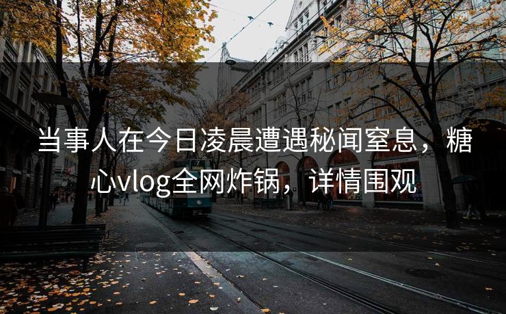 当事人在今日凌晨遭遇秘闻窒息,糖心vlog全网炸锅,详情围观 当事人在今日凌晨遭遇秘闻窒息,糖心vlog全网炸锅,详情围观