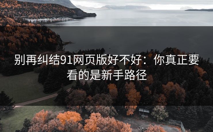 别再纠结91网页版好不好：你真正要看的是新手路径